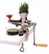 smstainlesswheatgrass.jpg